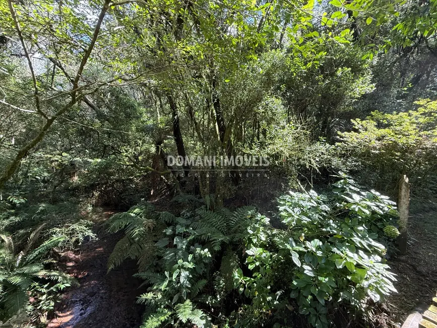 Foto 7 de Terreno / Lote à venda, 2500m2 em Campos Do Jordao - SP