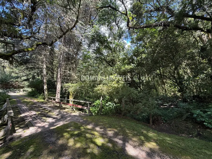 Foto 3 de Terreno / Lote à venda, 2500m2 em Campos Do Jordao - SP