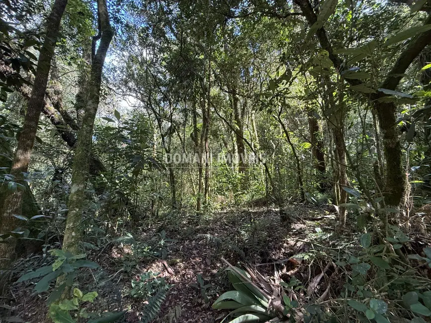 Foto 1 de Terreno / Lote à venda, 2500m2 em Campos Do Jordao - SP