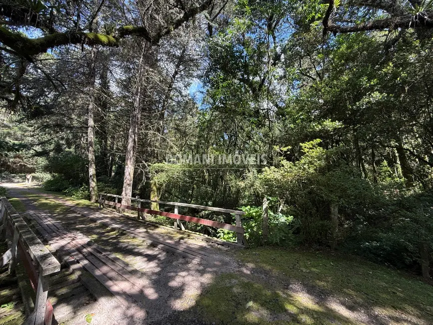 Foto 9 de Terreno / Lote à venda, 2500m2 em Campos Do Jordao - SP
