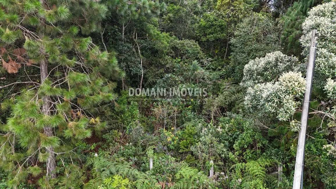 Foto 6 de Terreno / Lote à venda, 1010m2 em Campos Do Jordao - SP