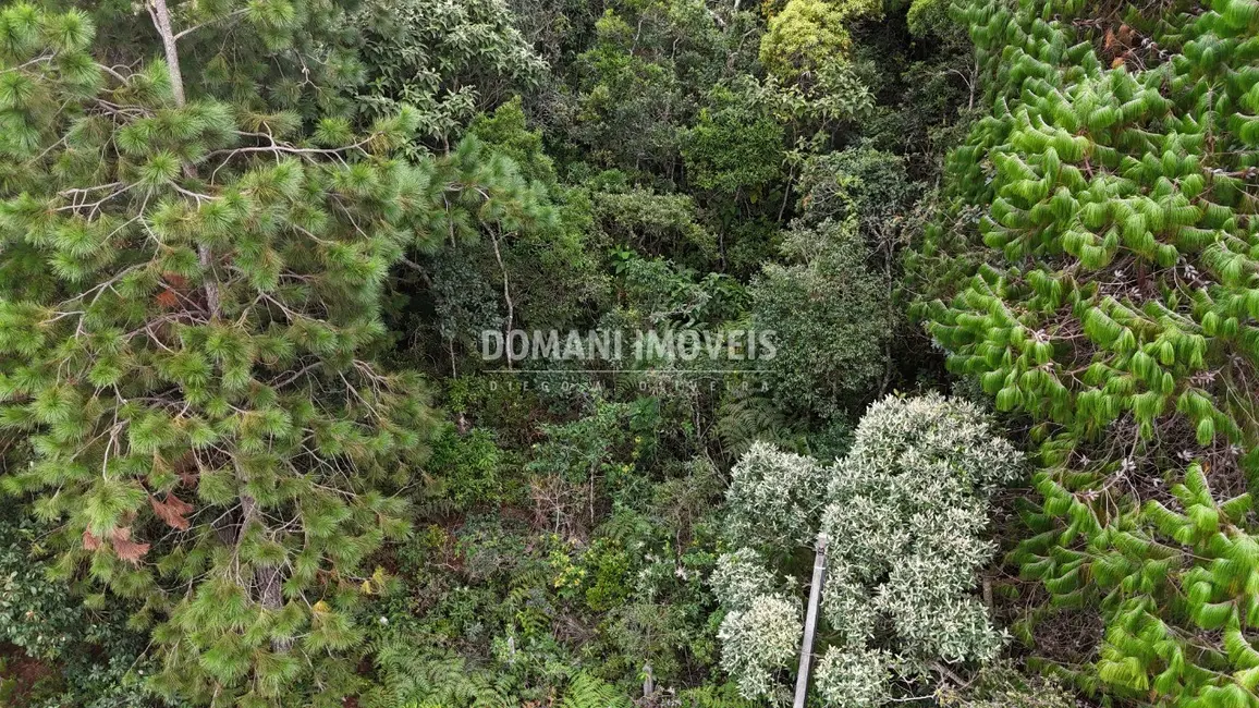 Foto 3 de Terreno / Lote à venda, 1010m2 em Campos Do Jordao - SP