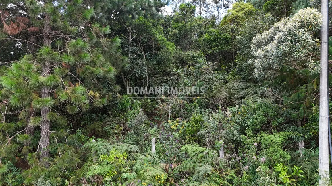 Foto 9 de Terreno / Lote à venda, 1010m2 em Campos Do Jordao - SP
