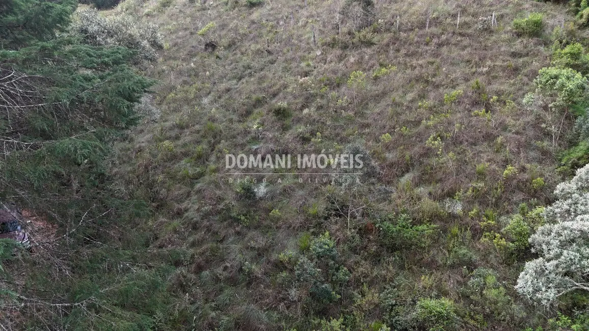 Foto 7 de Terreno / Lote à venda, 1985m2 em Campos Do Jordao - SP