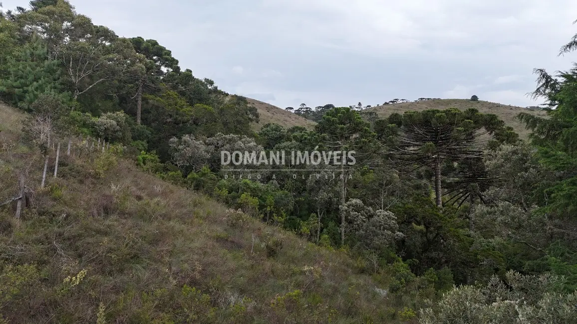 Foto 1 de Terreno / Lote à venda, 1985m2 em Campos Do Jordao - SP