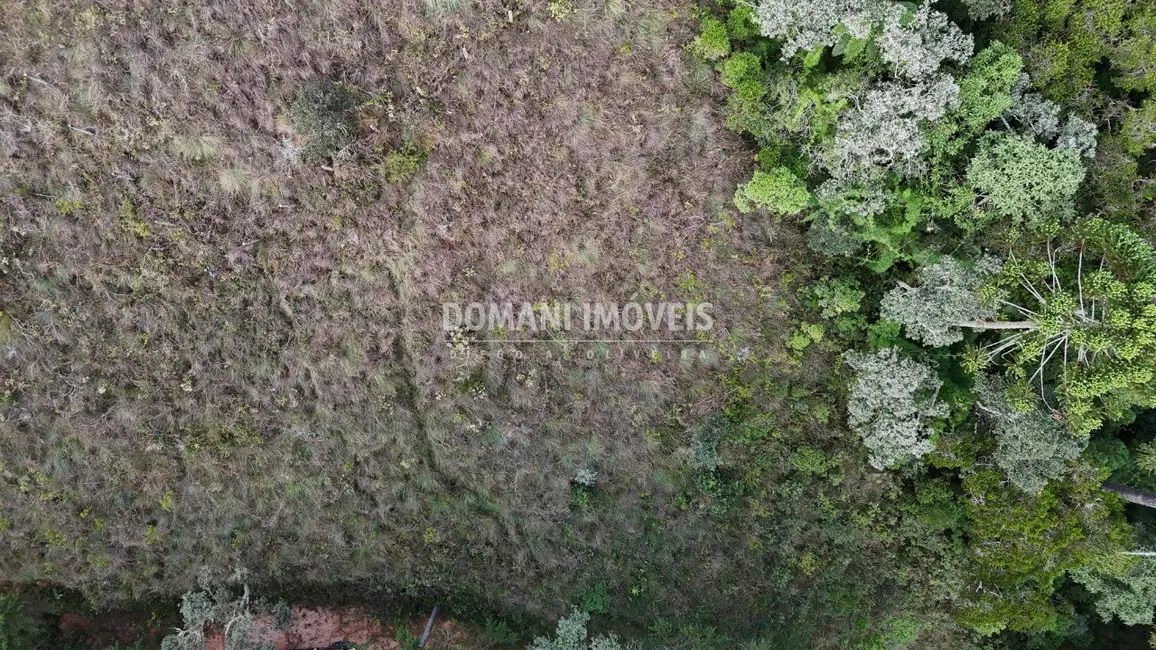 Foto 4 de Terreno / Lote à venda, 1985m2 em Campos Do Jordao - SP