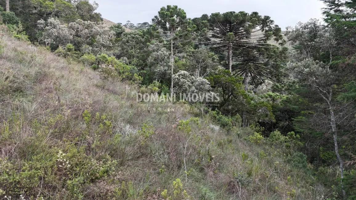 Foto 6 de Terreno / Lote à venda, 1985m2 em Campos Do Jordao - SP