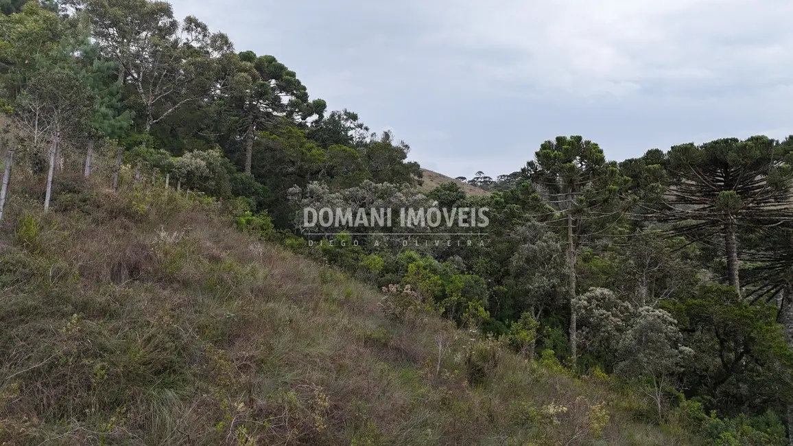 Foto 9 de Terreno / Lote à venda, 1985m2 em Campos Do Jordao - SP