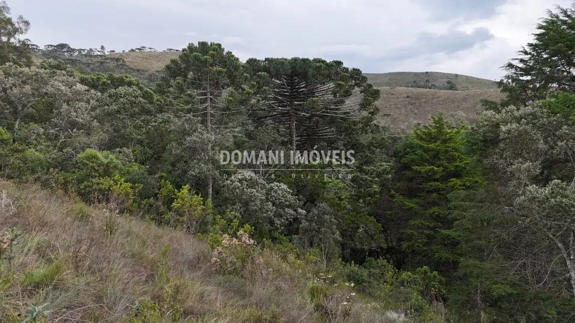 Foto 5 de Terreno / Lote à venda, 1985m2 em Campos Do Jordao - SP