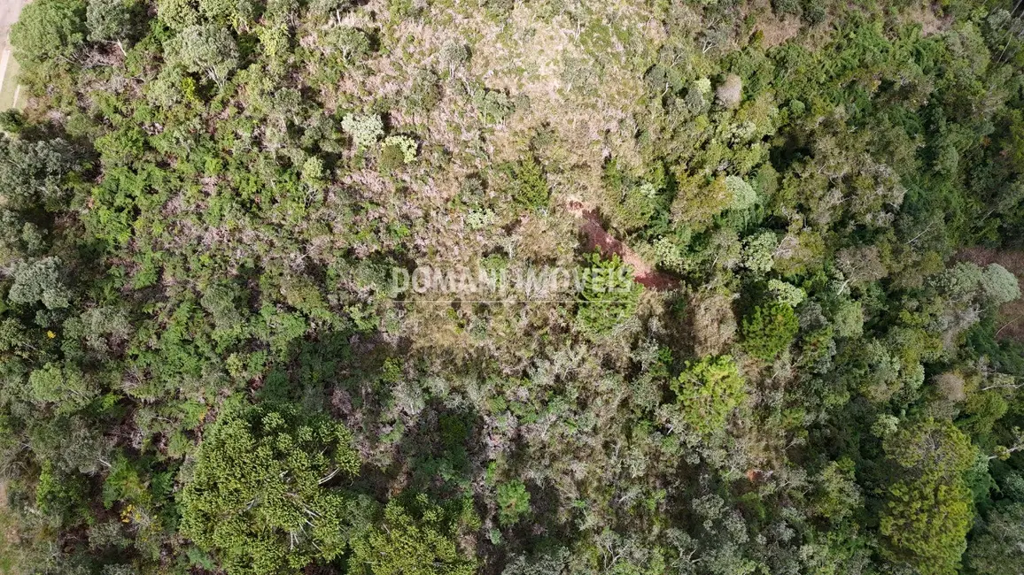 Foto 6 de Terreno / Lote à venda, 5240m2 em Campos Do Jordao - SP