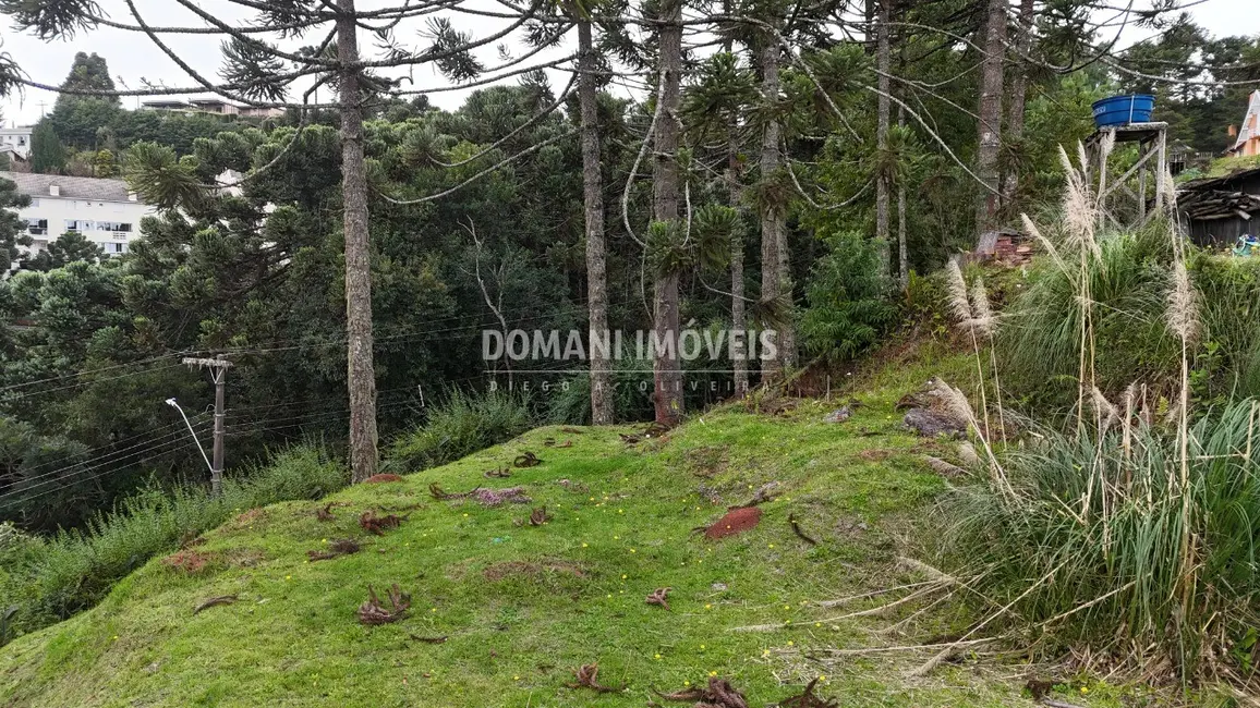 Foto 2 de Terreno / Lote à venda, 1235m2 em Campos Do Jordao - SP