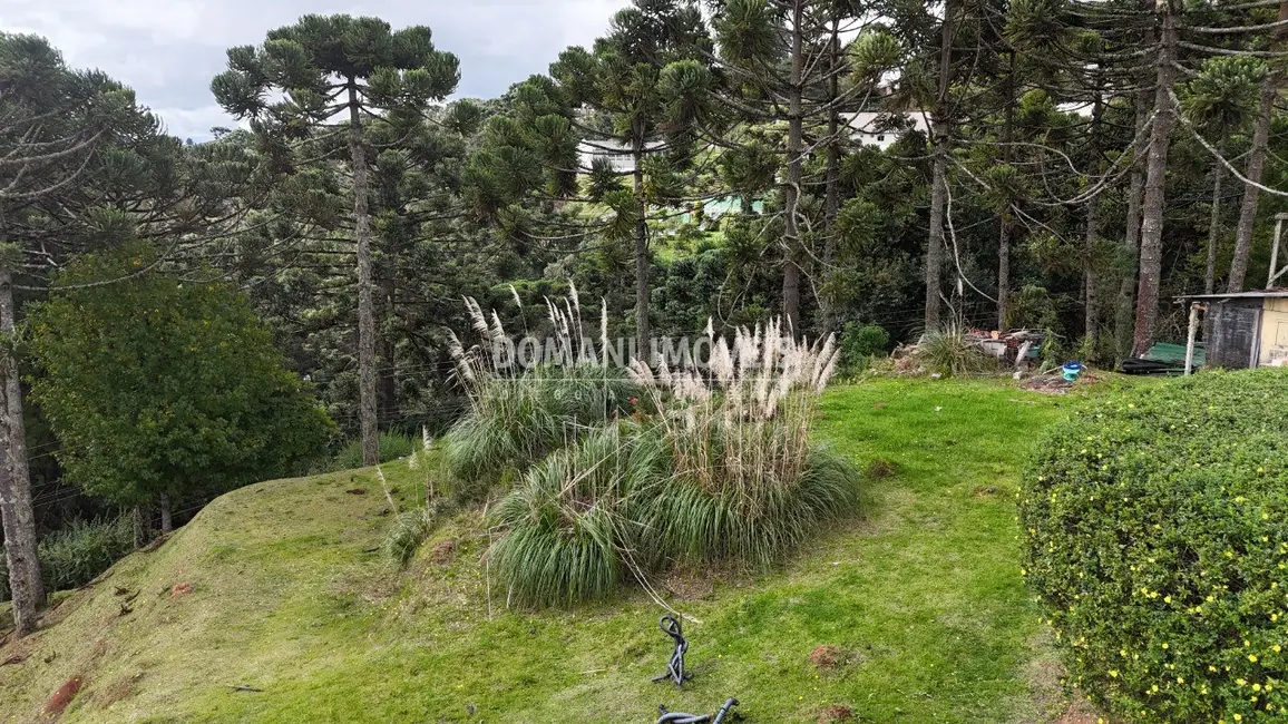 Foto 7 de Terreno / Lote à venda, 1235m2 em Campos Do Jordao - SP