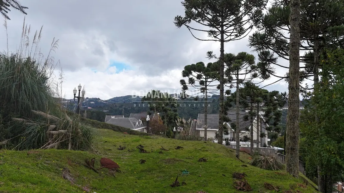 Foto 1 de Terreno / Lote à venda, 1235m2 em Campos Do Jordao - SP