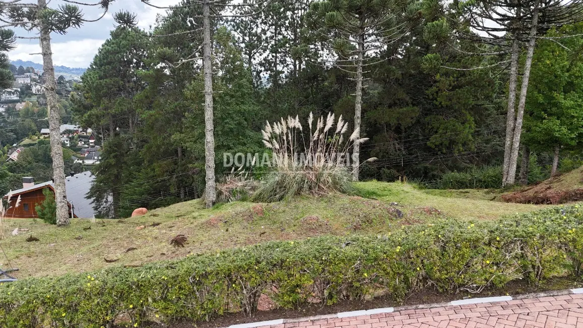Foto 3 de Terreno / Lote à venda, 1045m2 em Campos Do Jordao - SP