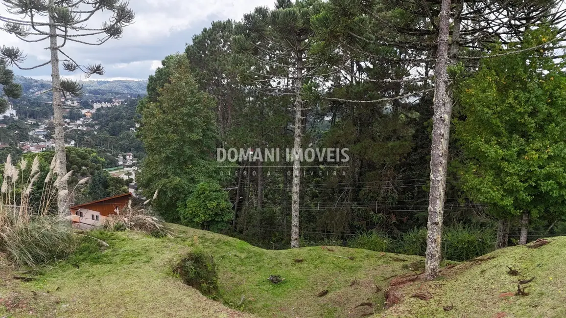 Foto 6 de Terreno / Lote à venda, 1045m2 em Campos Do Jordao - SP