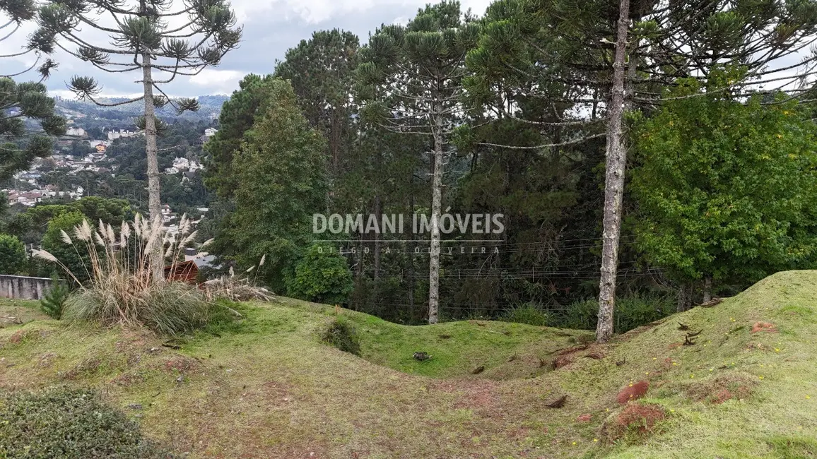 Foto 1 de Terreno / Lote à venda, 1045m2 em Campos Do Jordao - SP