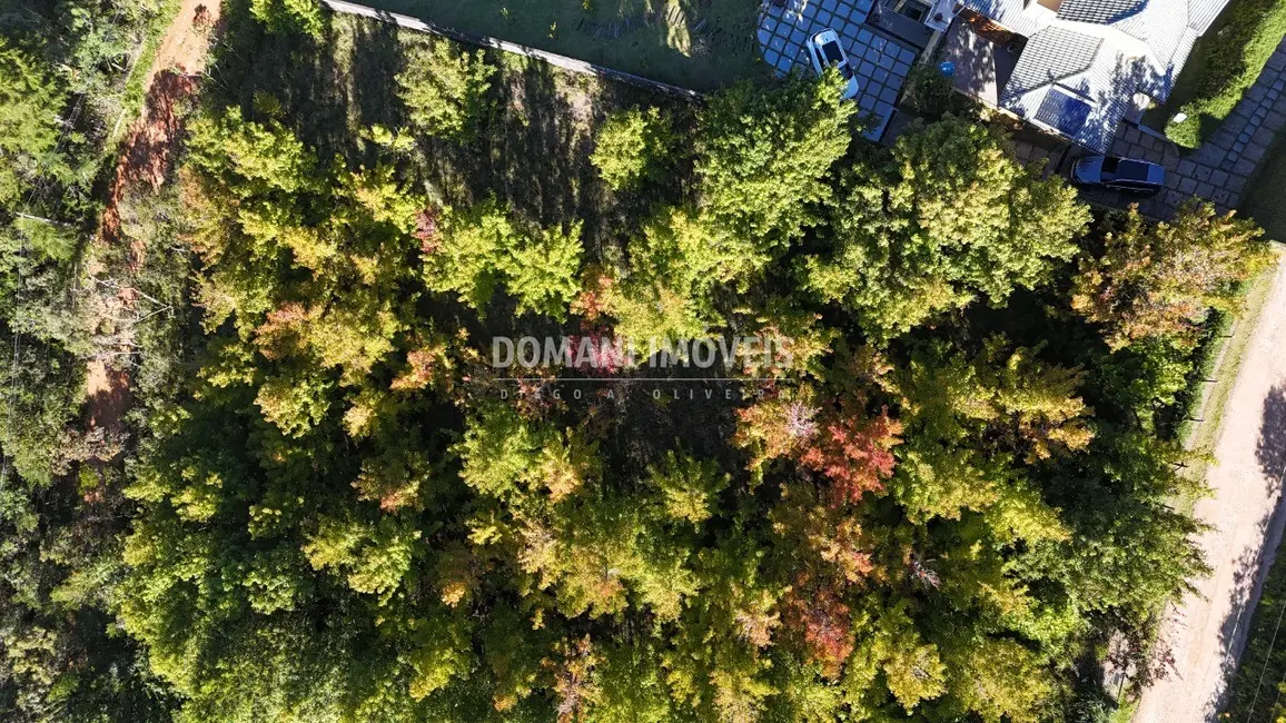 Foto 4 de Terreno / Lote à venda, 1360m2 em Campos Do Jordao - SP