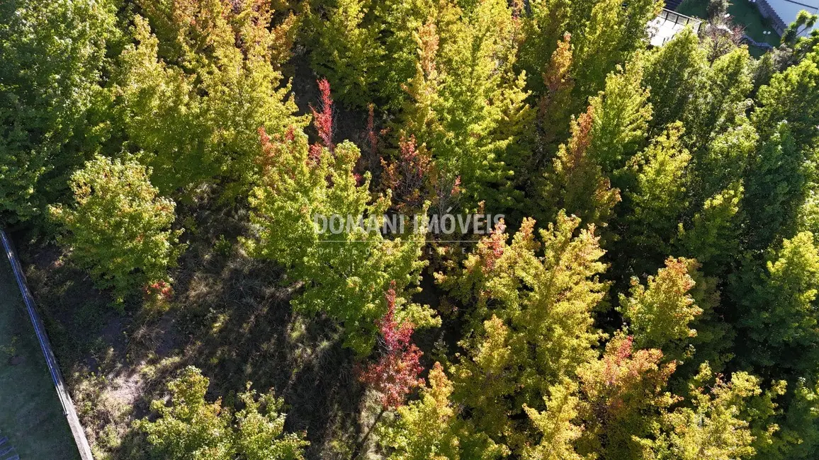 Foto 3 de Terreno / Lote à venda, 1360m2 em Campos Do Jordao - SP