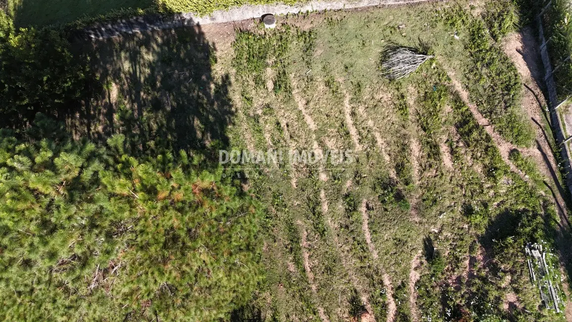 Foto 4 de Terreno / Lote à venda, 1252m2 em Campos Do Jordao - SP