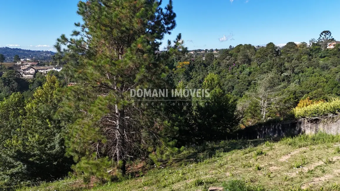 Foto 5 de Terreno / Lote à venda, 1252m2 em Campos Do Jordao - SP