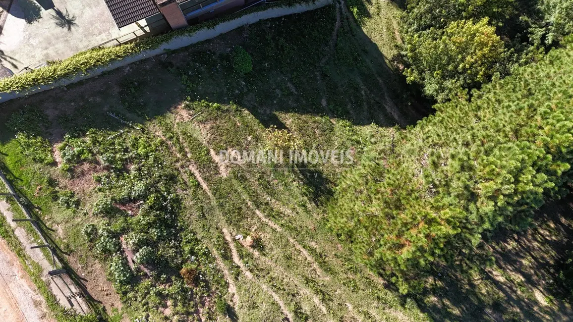 Foto 8 de Terreno / Lote à venda, 1290m2 em Campos Do Jordao - SP