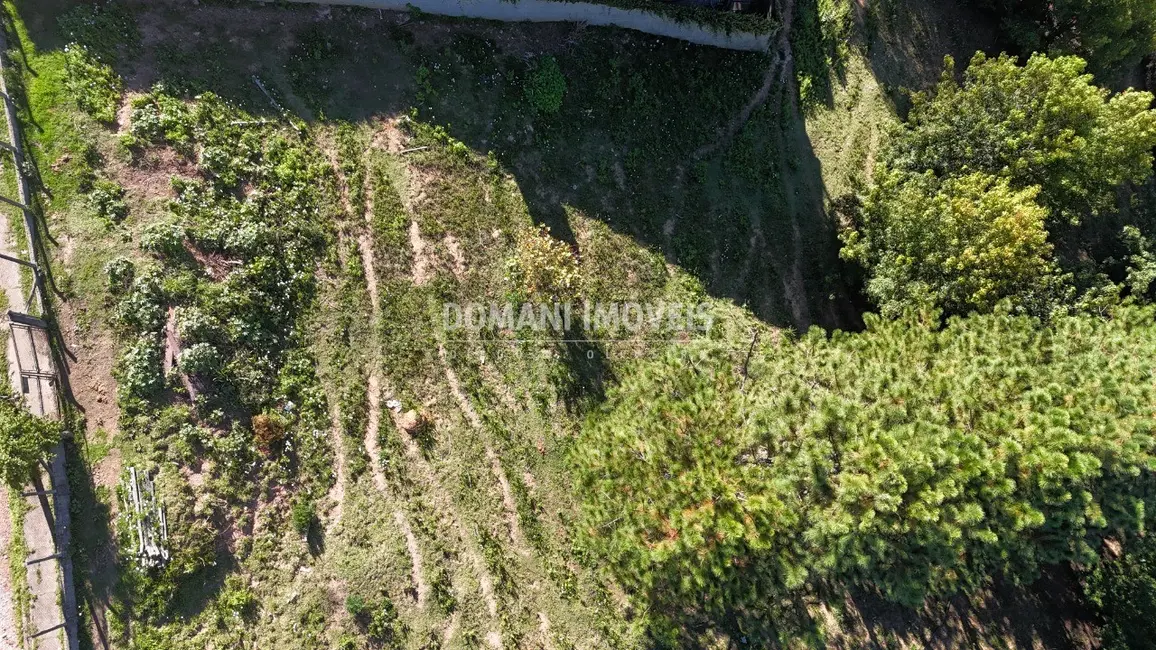 Foto 4 de Terreno / Lote à venda, 1290m2 em Campos Do Jordao - SP