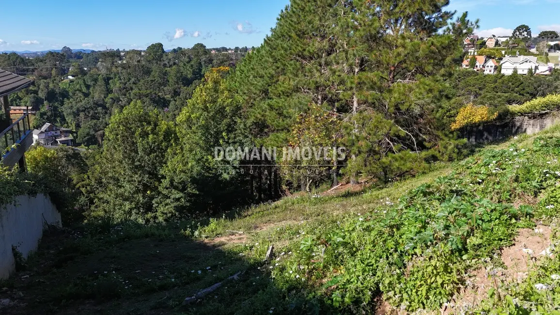 Foto 9 de Terreno / Lote à venda, 1290m2 em Campos Do Jordao - SP