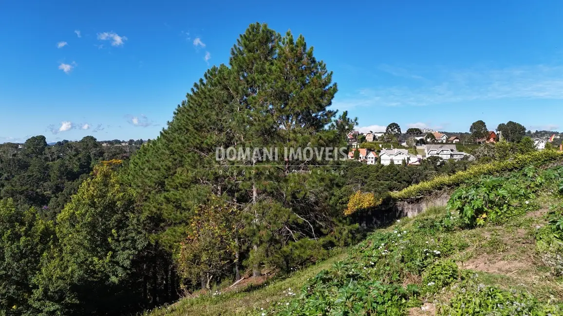 Foto 5 de Terreno / Lote à venda, 1290m2 em Campos Do Jordao - SP