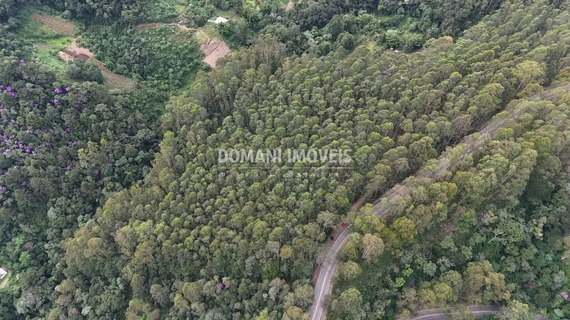 Foto 5 de Terreno / Lote à venda em Campos Do Jordao - SP