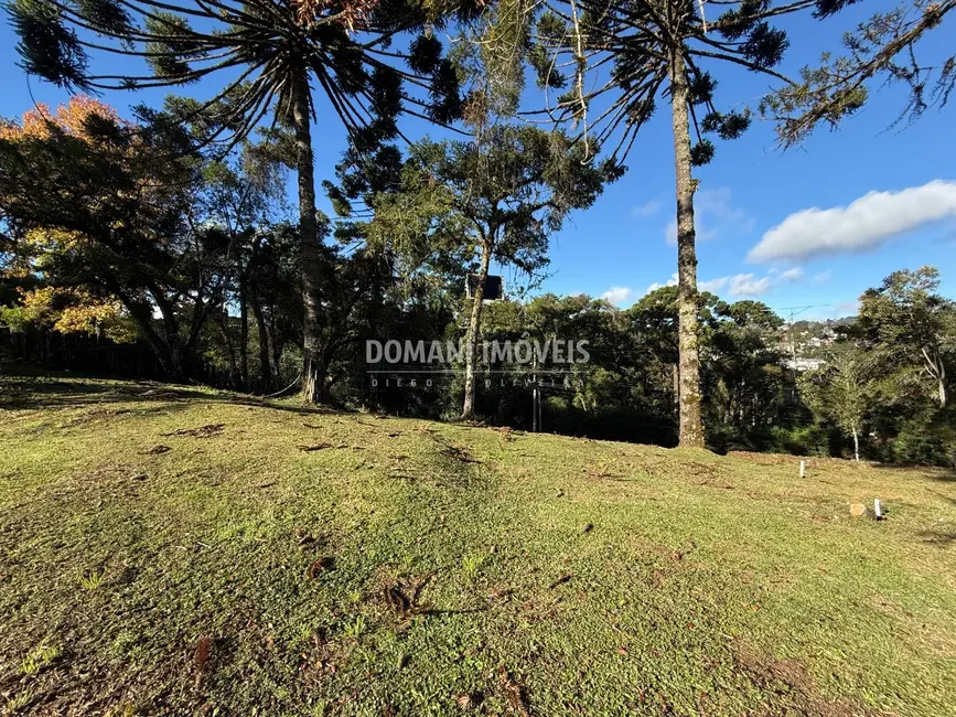 Foto 8 de Terreno / Lote à venda, 1030m2 em Campos Do Jordao - SP