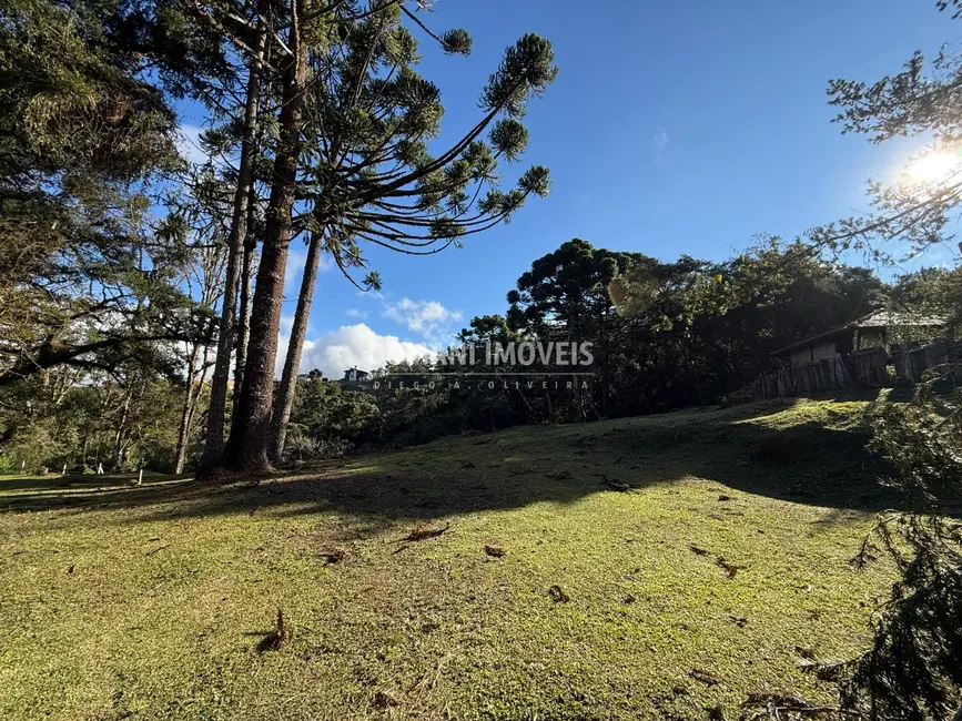 Foto 4 de Terreno / Lote à venda, 1030m2 em Campos Do Jordao - SP