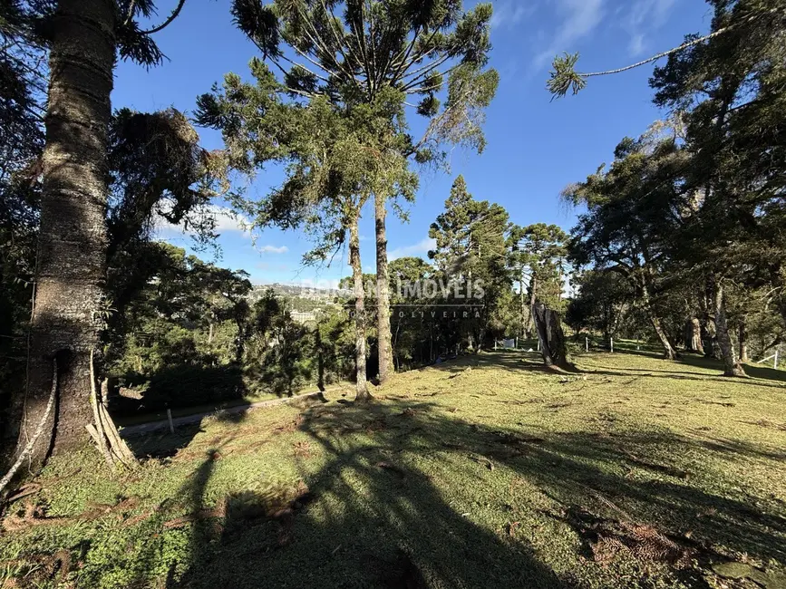 Foto 6 de Terreno / Lote à venda, 1030m2 em Campos Do Jordao - SP