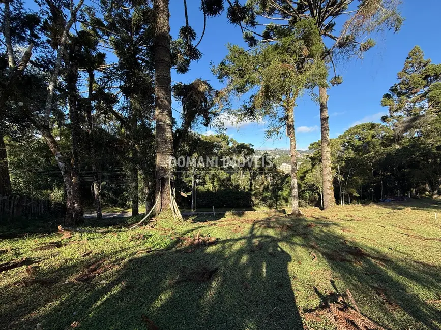 Foto 9 de Terreno / Lote à venda, 1030m2 em Campos Do Jordao - SP