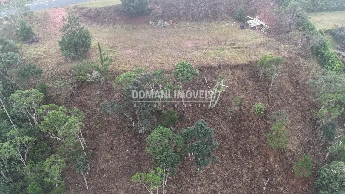 Foto 4 de Terreno / Lote à venda, 2400m2 em Campos Do Jordao - SP