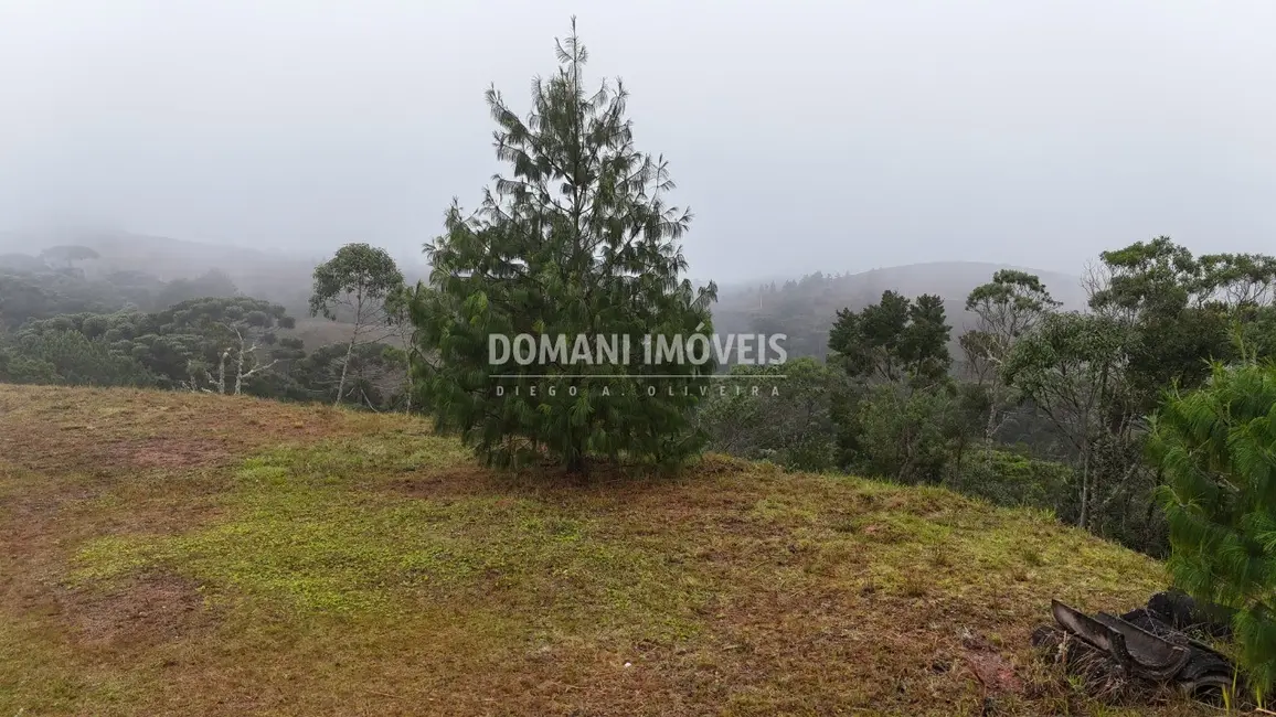 Foto 5 de Terreno / Lote à venda, 2400m2 em Campos Do Jordao - SP