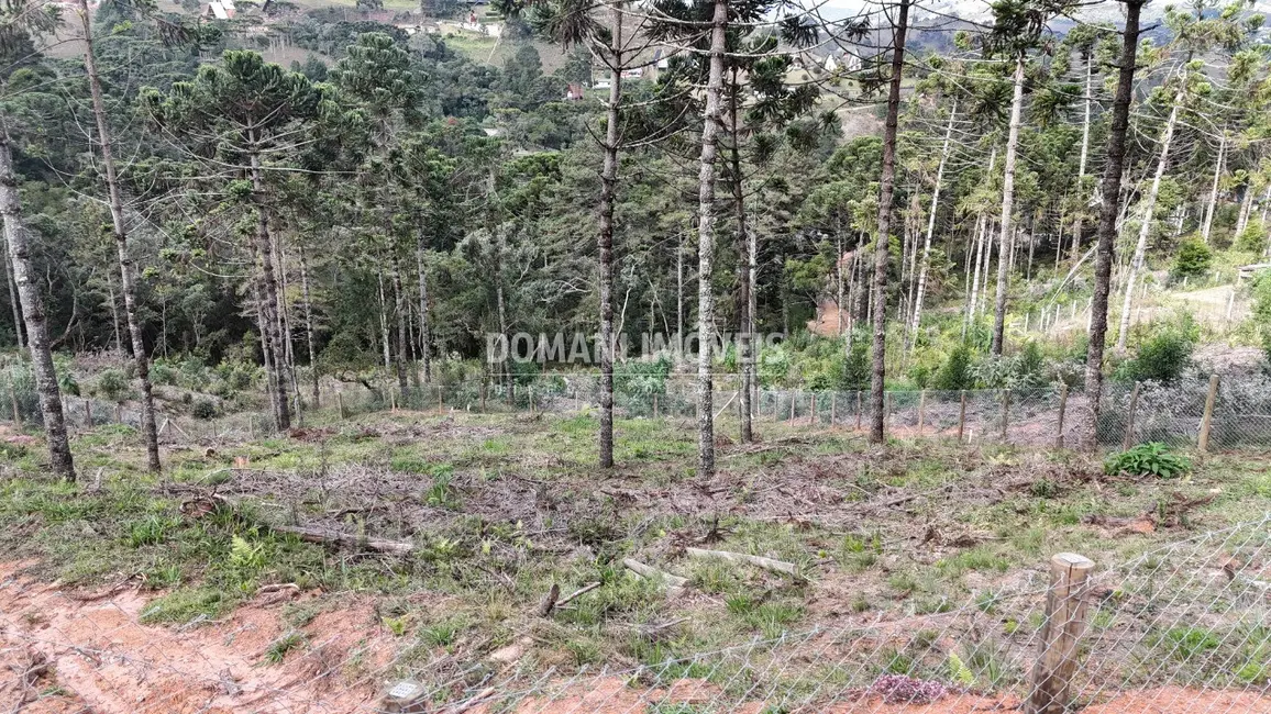 Foto 4 de Terreno / Lote à venda, 1185m2 em Campos Do Jordao - SP