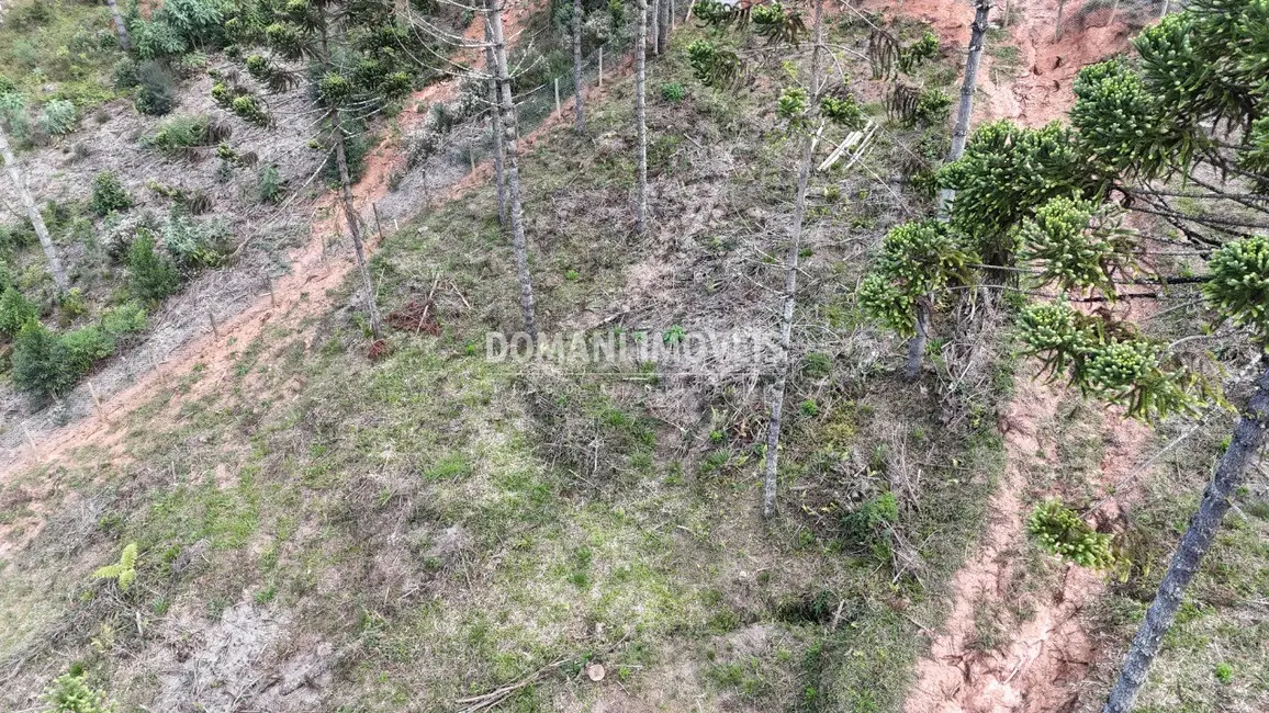 Foto 7 de Terreno / Lote à venda, 1185m2 em Campos Do Jordao - SP
