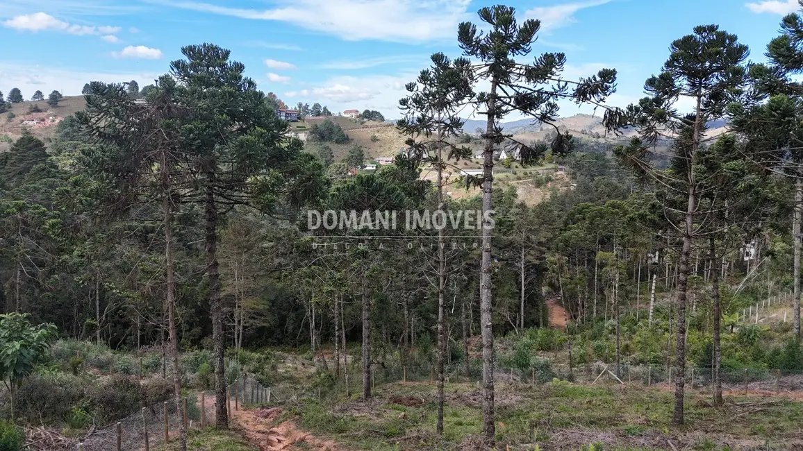Foto 5 de Terreno / Lote à venda, 1185m2 em Campos Do Jordao - SP
