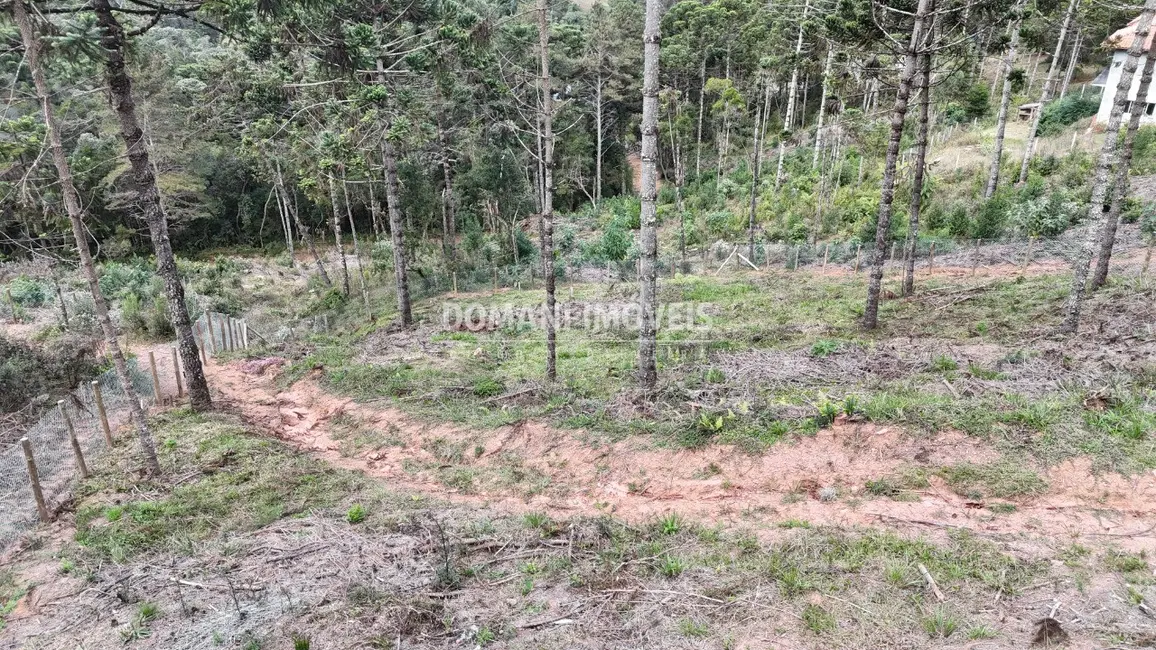Foto 8 de Terreno / Lote à venda, 1185m2 em Campos Do Jordao - SP