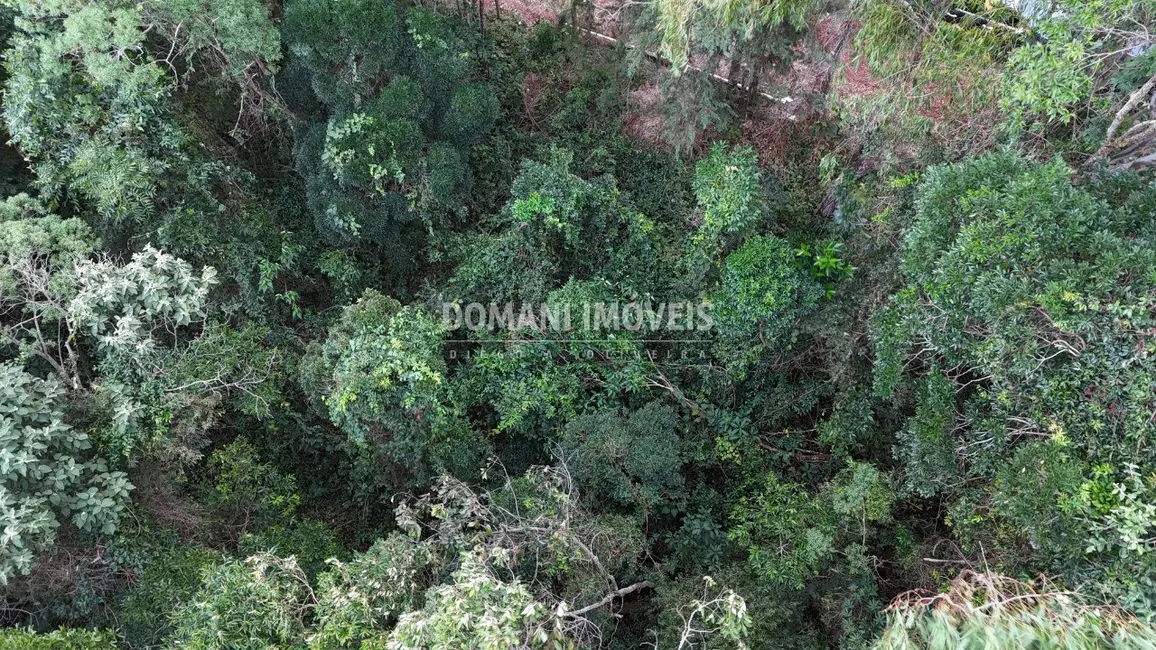Foto 8 de Terreno / Lote à venda, 1325m2 em Campos Do Jordao - SP