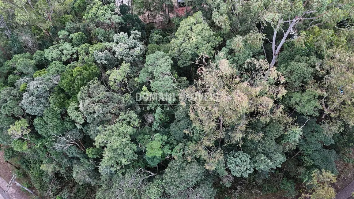 Foto 4 de Terreno / Lote à venda, 1325m2 em Campos Do Jordao - SP
