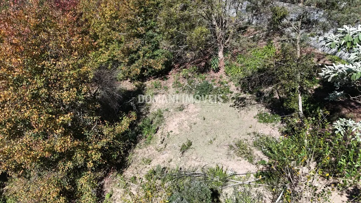 Terreno / Lote à venda, 1140m2 em Campos Do Jordao - SP - imagem 8 Foto 8 de Terreno / Lote à venda, 1140m2 em Campos Do Jordao - SP