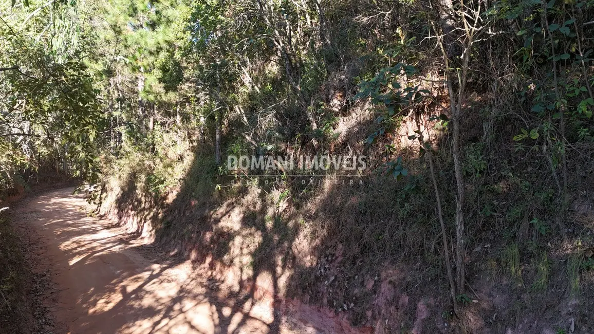 Foto 6 de Terreno / Lote à venda, 2095m2 em Campos Do Jordao - SP