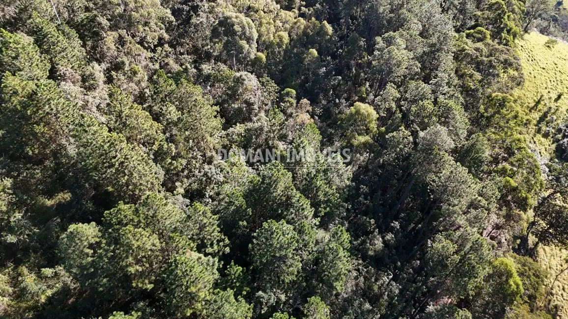 Terreno / Lote à venda, 4125m2 em Campos Do Jordao - SP - imagem 6 Foto 6 de Terreno / Lote à venda, 4125m2 em Campos Do Jordao - SP