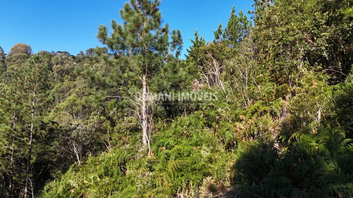 Terreno / Lote à venda, 4125m2 em Campos Do Jordao - SP - imagem 3 Foto 3 de Terreno / Lote à venda, 4125m2 em Campos Do Jordao - SP
