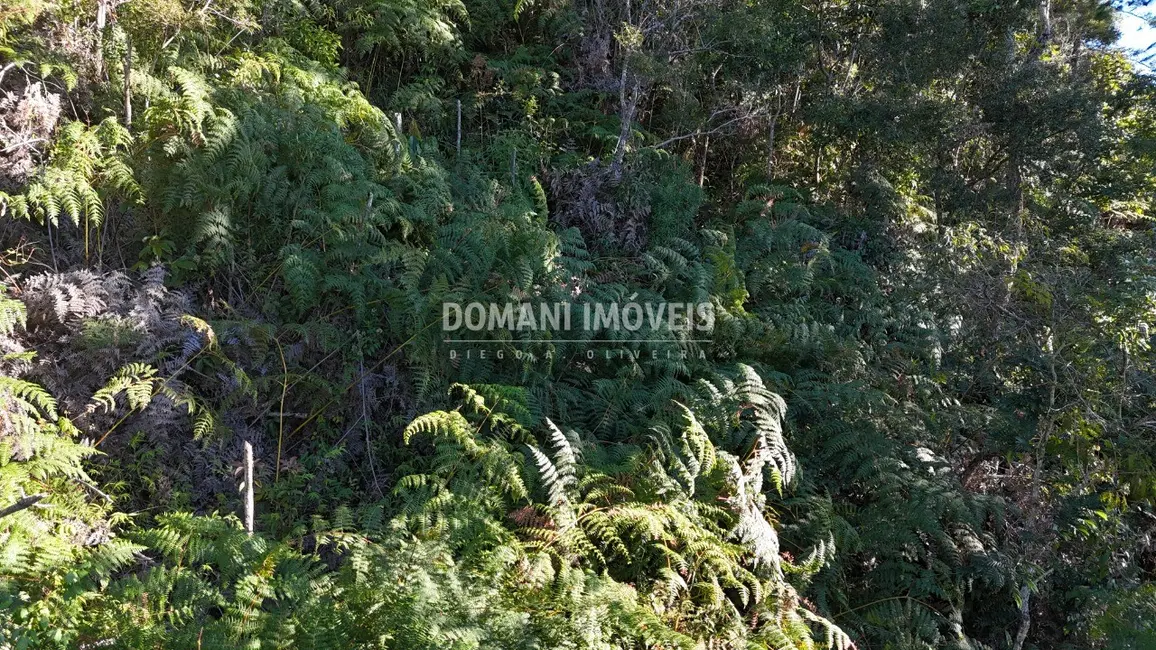 Terreno / Lote à venda, 4125m2 em Campos Do Jordao - SP - imagem 8 Foto 8 de Terreno / Lote à venda, 4125m2 em Campos Do Jordao - SP