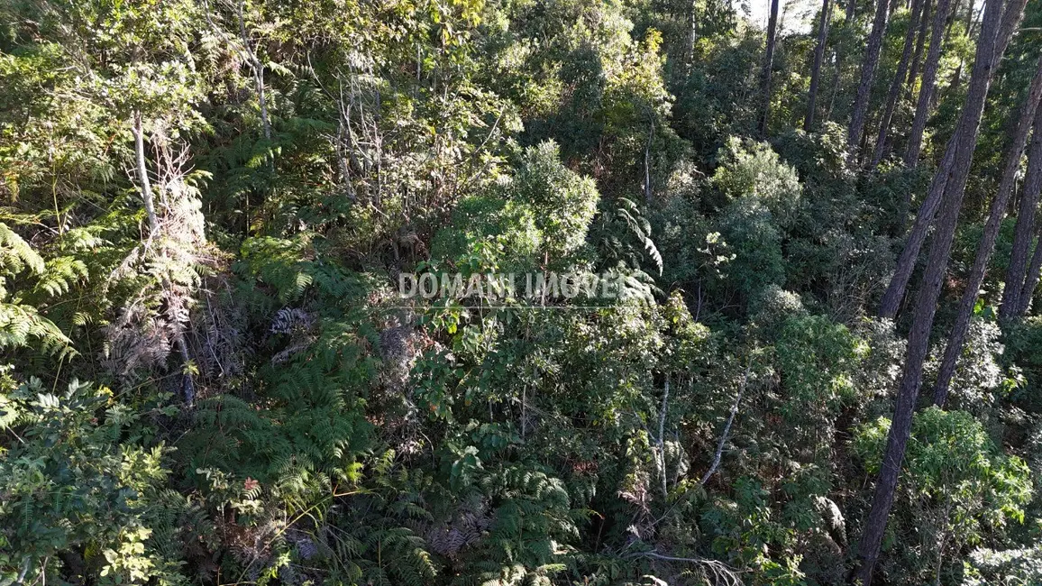 Terreno / Lote à venda, 4125m2 em Campos Do Jordao - SP - imagem 4 Foto 4 de Terreno / Lote à venda, 4125m2 em Campos Do Jordao - SP