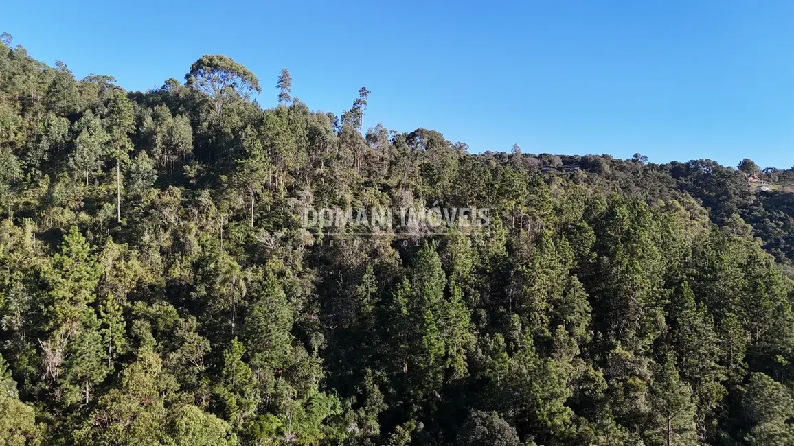 Foto 5 de Terreno / Lote à venda, 2030m2 em Campos Do Jordao - SP