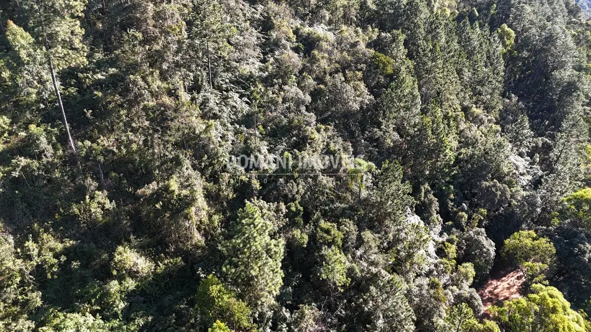 Foto 7 de Terreno / Lote à venda, 2030m2 em Campos Do Jordao - SP