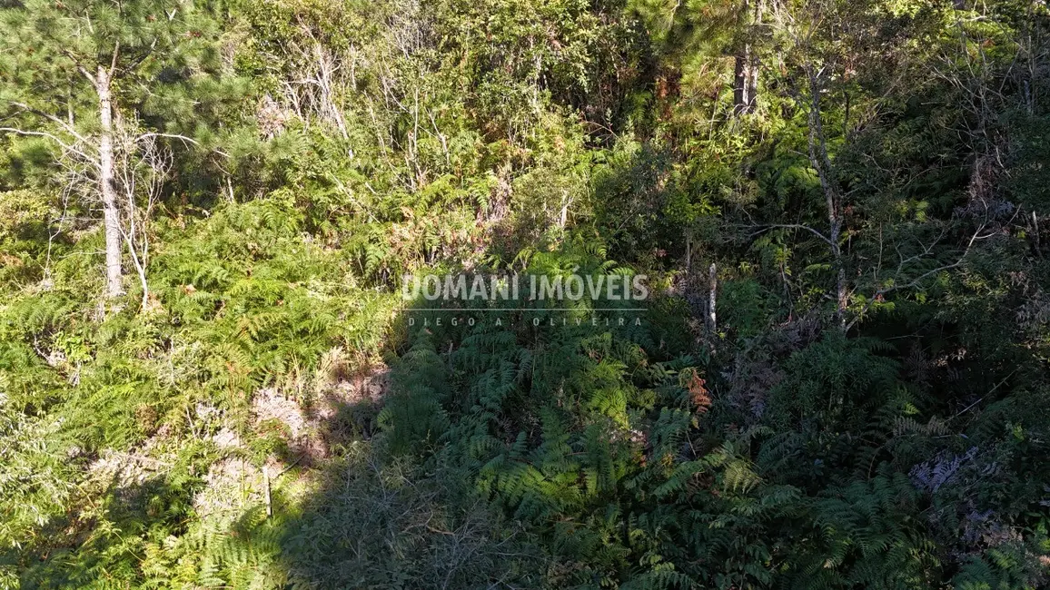 Foto 4 de Terreno / Lote à venda, 2030m2 em Campos Do Jordao - SP